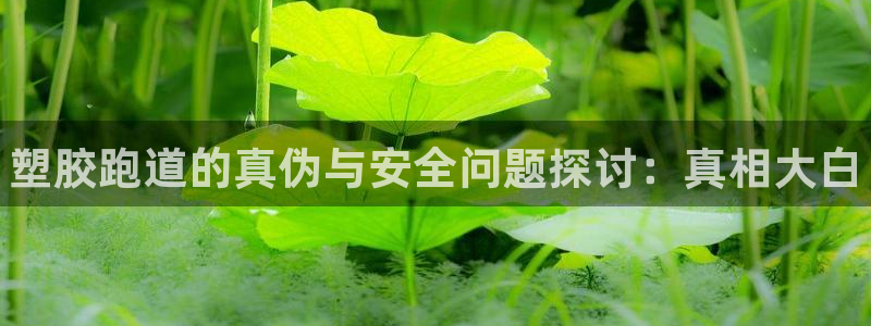 尊龙凯时取款不成功:塑胶跑道的真伪与安全问题探讨:真相大白